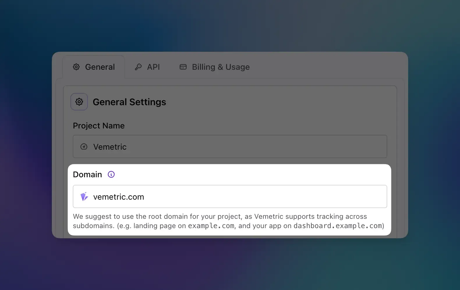 Screenshot of the project settings page showing the editable domain field