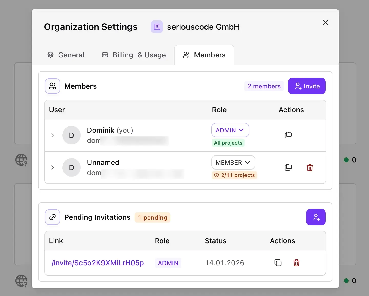 Organization settings showing member management with roles and project access