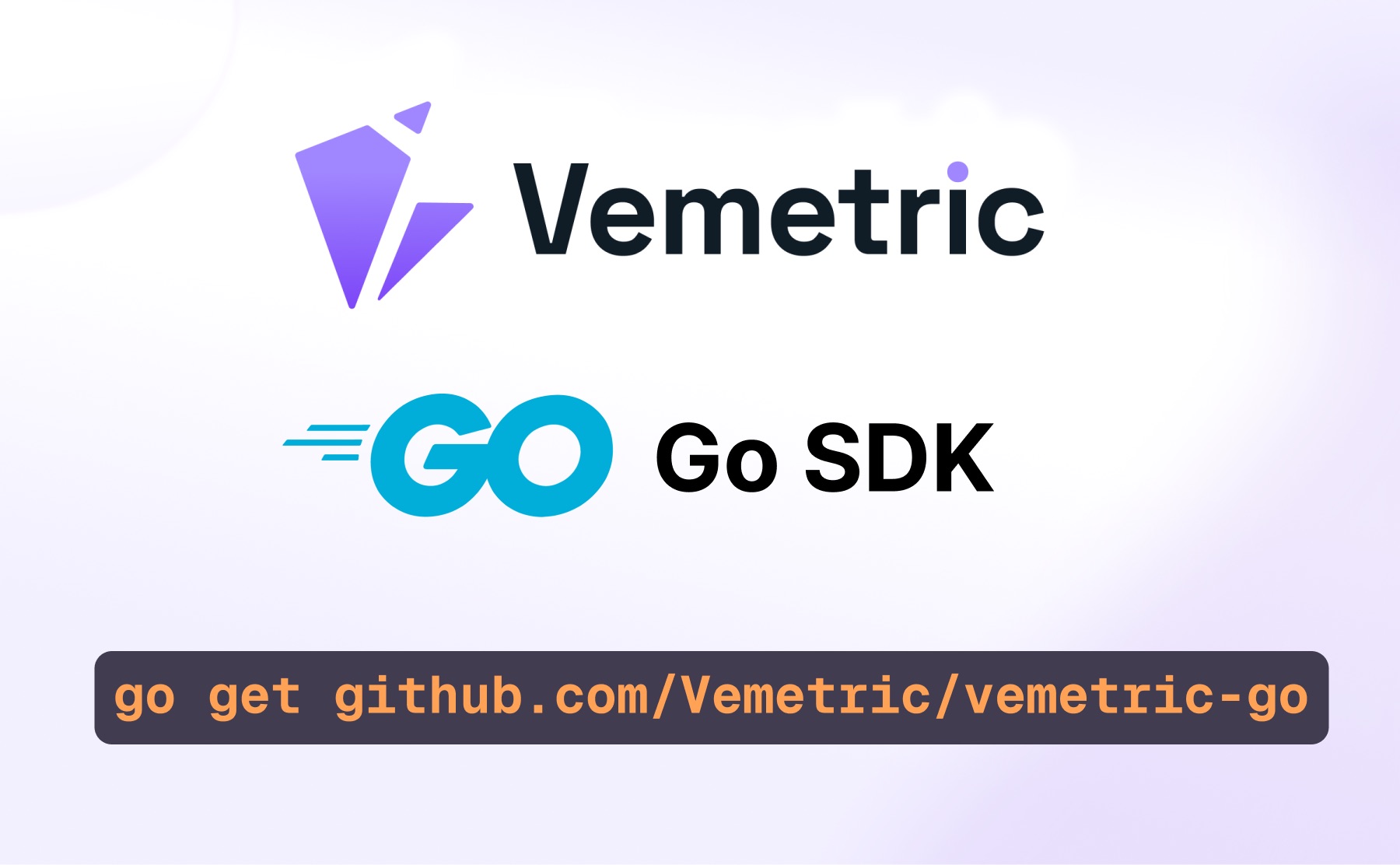 Go | SDKs | Documentation - Vemetric